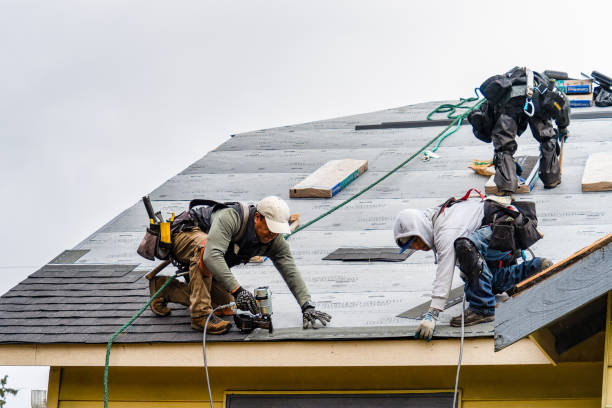 Professional Roofing technician working in Lena, IL